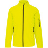 Fluorescent Yellow