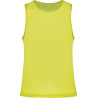 Fluorescent Yellow