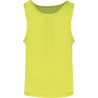 Fluorescent Yellow