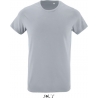 T-shirt homme : REGENT FIT (00553)