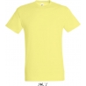 Tee Shirt homme REGENT