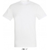 Tee Shirt homme REGENT