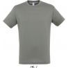 Tee Shirt homme REGENT