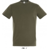 Tee Shirt homme REGENT