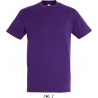 Tee Shirt homme REGENT