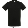 Tee Shirt homme REGENT