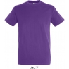 Tee Shirt homme REGENT