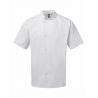 Veste chef cuisinier manches courtes "Essential"