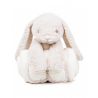 Peluche Lapin & couverture