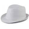 Chapeau de paille style Panama