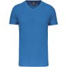 T-SHIRT BIO150IC V